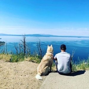 Meet your Posher, Timothy